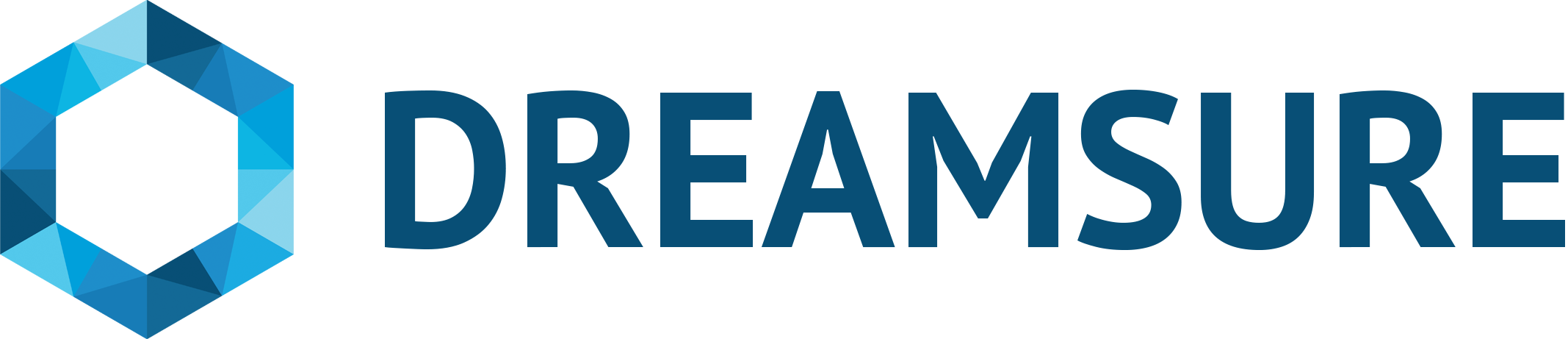 Dream Sure Logo